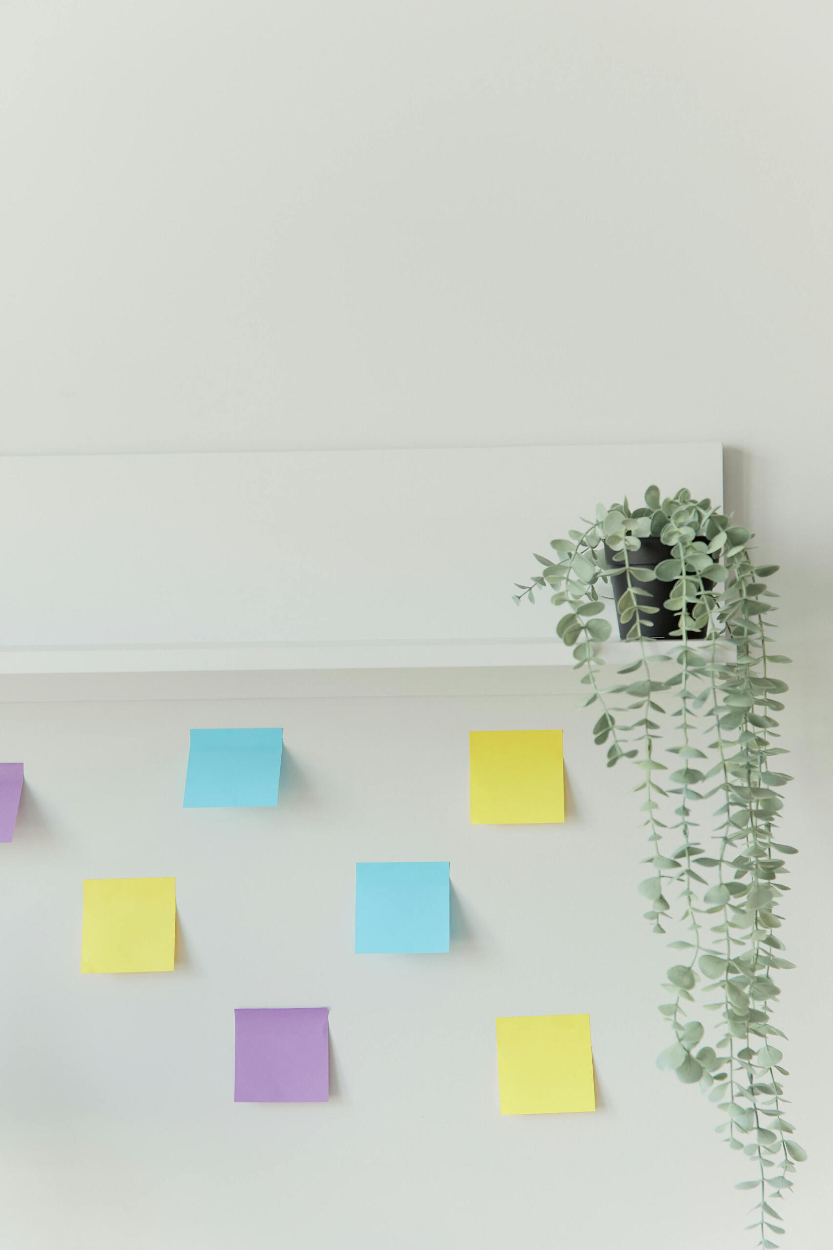 A photo of different coloured post-it notes stuck to a wall, beneath a shelf with a plant on.